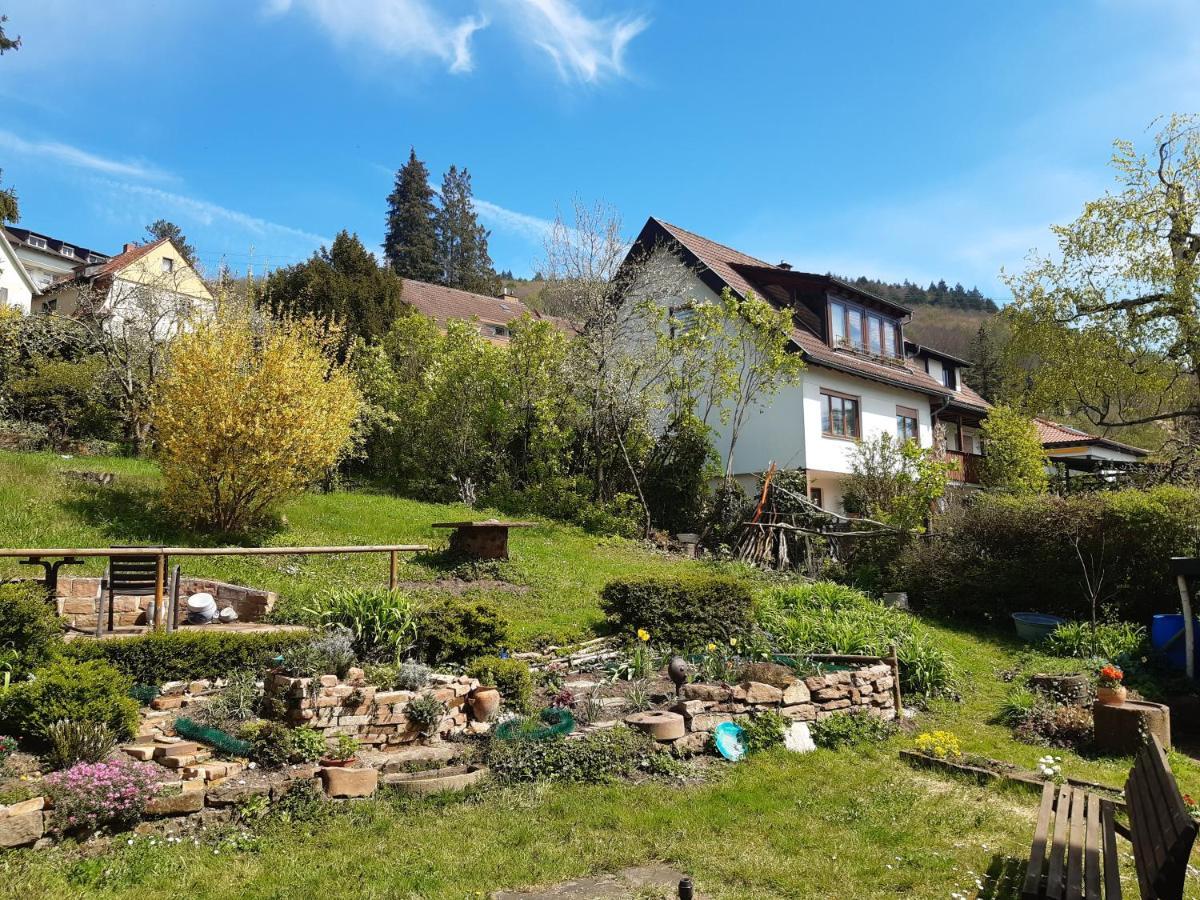 Gastehaus Endrich Hotell Heidelberg Exteriör bild